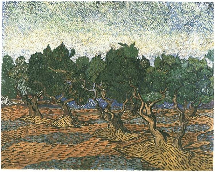van gogh olivenhain3